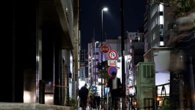 Warrant issued for mum who sold Thai girl in Tokyo trafficking case | Thaiger