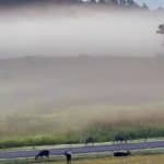 More cold weather and heavy rain forecasted for Thailand | Thaiger