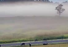 More cold weather and heavy rain forecasted for Thailand | Thaiger