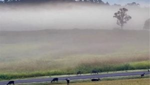 More cold weather and heavy rain forecasted for Thailand | Thaiger