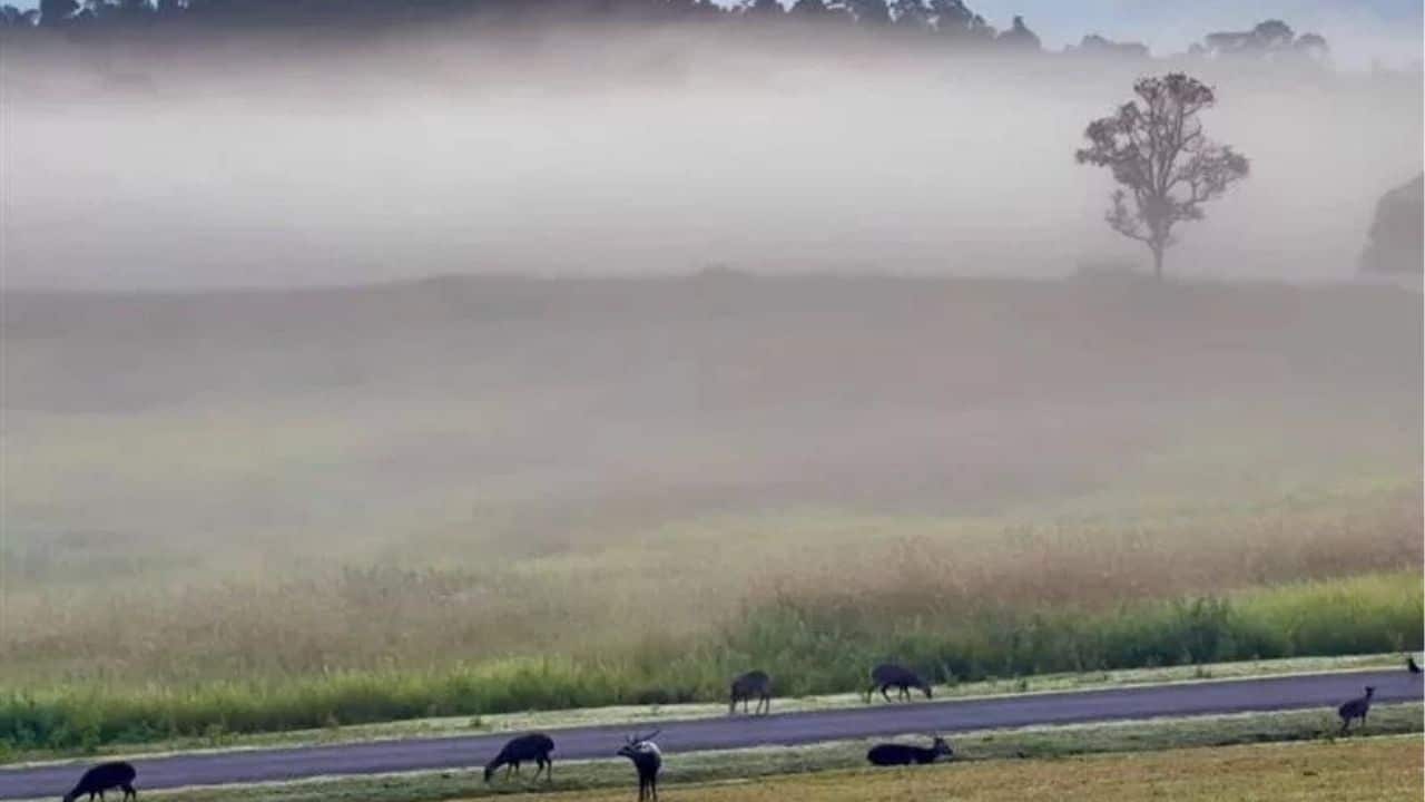 More cold weather and heavy rain forecasted for Thailand | Thaiger