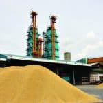 Thailand seals China deal to export 500k tonnes of rice | Thaiger