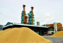 Thailand seals China deal to export 500k tonnes of rice | Thaiger