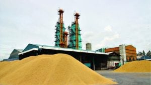 Thailand seals China deal to export 500k tonnes of rice | Thaiger