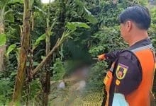 Newborn baby girl’s body found dumped near Bangkok railway | Thaiger