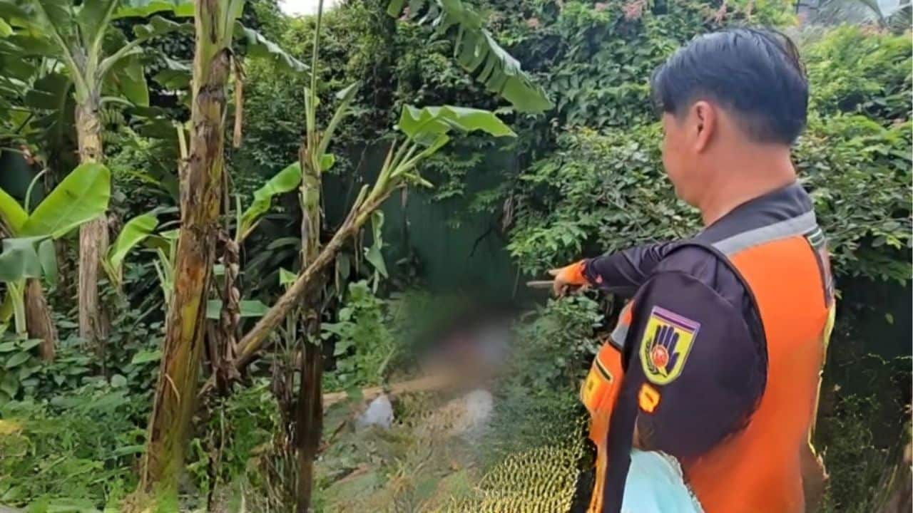 Newborn baby girl’s body found dumped near Bangkok railway | Thaiger