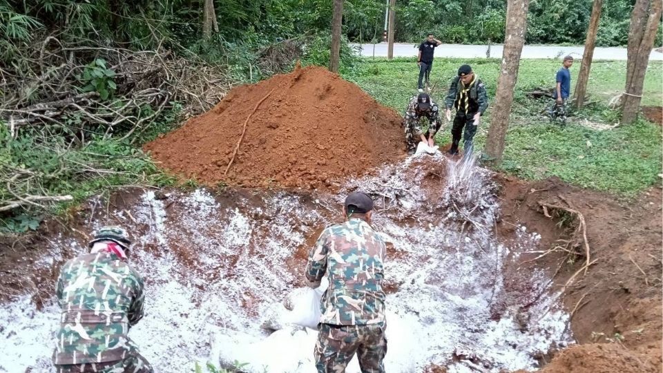 Elephant electrocuted near Phetchaburi national park | News by Thaiger