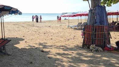 Street food feud turns violent in Jomtien Beach brawl (video) | Thaiger