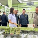 Thai herbal inhalers get radiation reboot after contamination scare | Thaiger