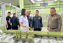 Thai herbal inhalers get radiation reboot after contamination scare | Thaiger