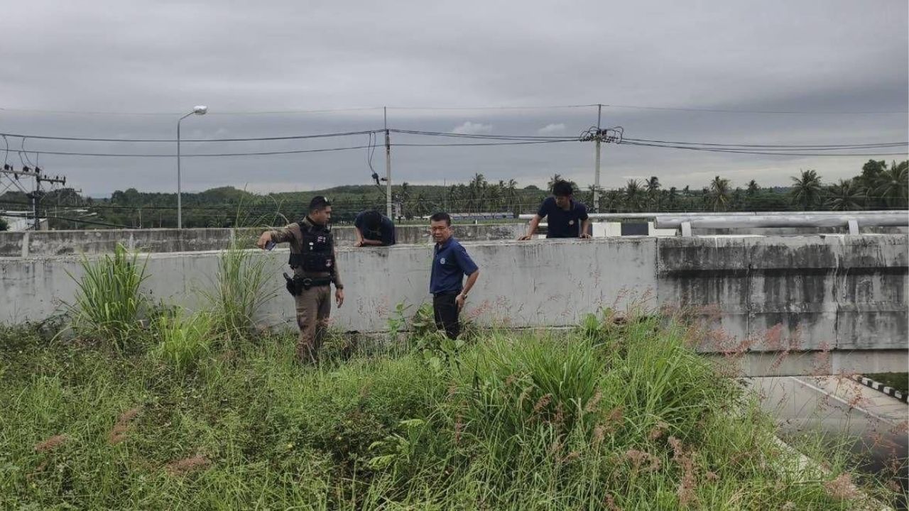 Copper cable crooks plunge Chon Buri highway into darkness | Thaiger