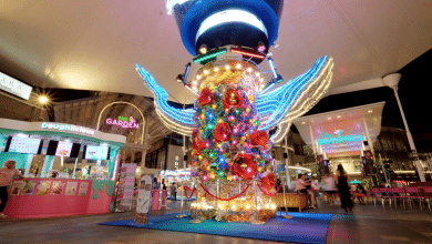 Jungceylon turns Phuket into an Eco Wonderland with upcycled art and festive colour | Thaiger