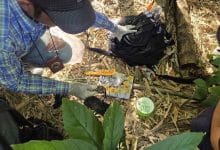 Woman found dead in Khlong Yai River at Thai-Cambodia border | Thaiger