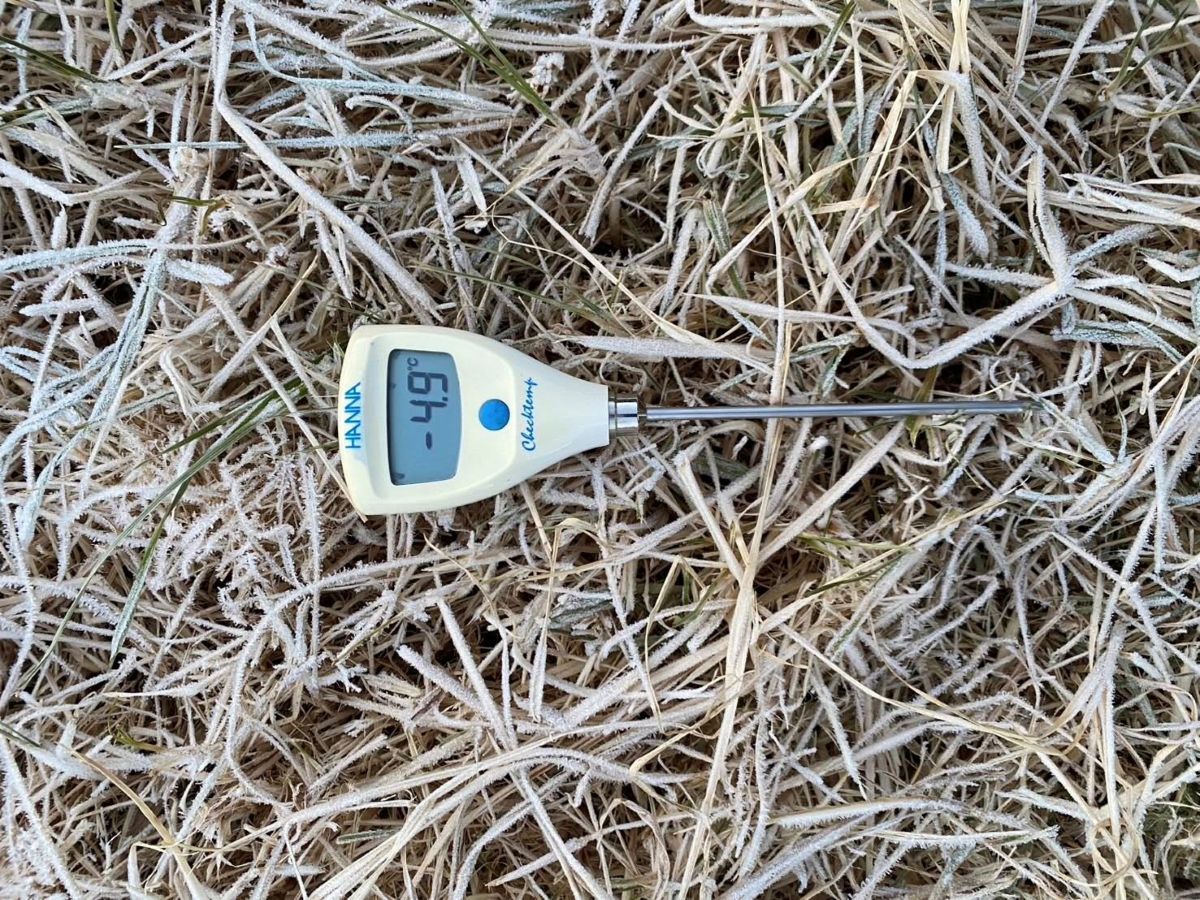 Doi Inthanon frost dips to -4.9°C, temps continue to fall | News by Thaiger