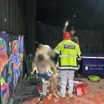 Filipino transgender woman injures Ukrainian boyfriend in Pattaya stabbing incident | Thaiger