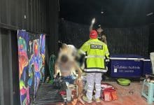 Filipino transgender woman injures Ukrainian boyfriend in Pattaya stabbing incident | Thaiger