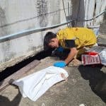 Monitor lizard leads to discovery of infant’s body in Samut Prakan | Thaiger