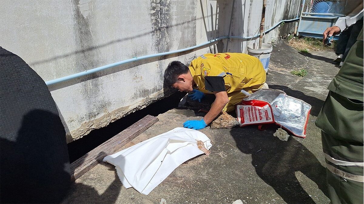 Monitor lizard leads to discovery of infant’s body in Samut Prakan | Thaiger