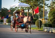 What to do in Bangkok this weekend (December 26 to 28) | Thaiger