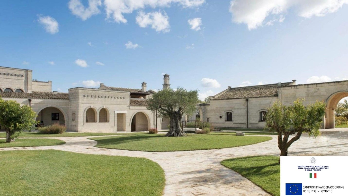 VIU's wine list highlights artisanal selections from the Puglia region of Italy.