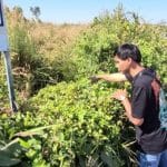 Udon Thani residents alarmed by suspected dog poisonings | Thaiger