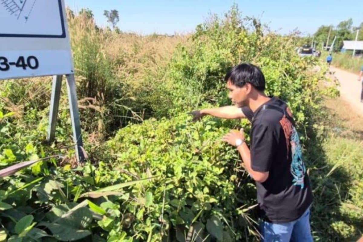 Udon Thani residents alarmed by suspected dog poisonings | Thaiger