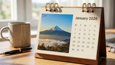 Thai Cabinet withdraws plan to add more public holidays in 2026 | Thaiger