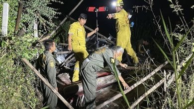 Construction worker found dead in remote area in Pathum Thani | Thaiger