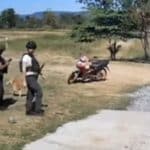 Thai border police feed hungry dogs left behind during evacuation | Thaiger