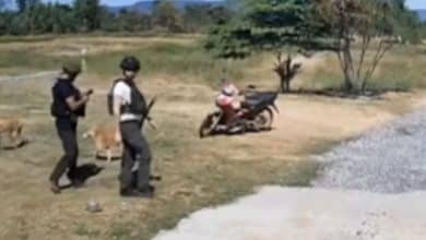 Thai border police feed hungry dogs left behind during evacuation | Thaiger