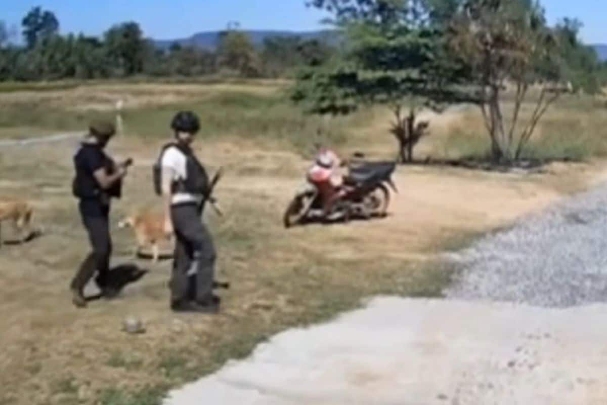 Thai border police feed hungry dogs left behind during evacuation | Thaiger