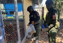 Soldiers feed animals left behind after evacuations in Sa Kaeo | Thaiger