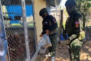 Soldiers feed animals left behind after evacuations in Sa Kaeo | Thaiger
