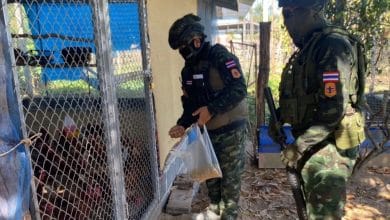 Soldiers feed animals left behind after evacuations in Sa Kaeo | Thaiger