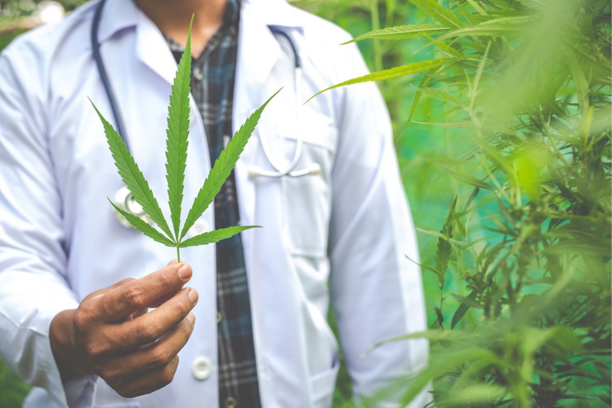 Medical practitioner in white coat holding a cannabis leaf to represent medical marijuana use