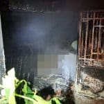 Bangkok fire kills man and over 10 cats in midnight blaze | Thaiger
