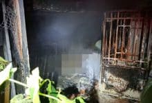 Bangkok fire kills man and over 10 cats in midnight blaze | Thaiger