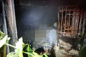 Bangkok fire kills man and over 10 cats in midnight blaze | Thaiger