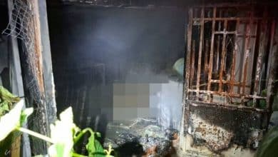 Bangkok fire kills man and over 10 cats in midnight blaze | Thaiger