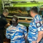 Illegal online coral trade leads to arrest in Bangkok | Thaiger