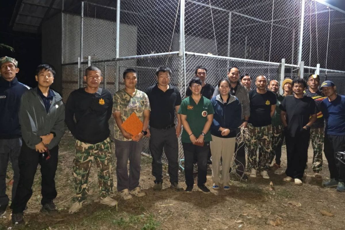 Veterinarians and wildlife officials involved in the rescue and relocation of two lions in Ratchaburi, Thailand