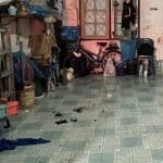 Nonthaburi driver attempts suicide over 35,000 baht repair cost | Thaiger