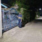 Cow herder causes chaos at bakery in Bang Lamung | Thaiger