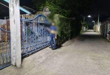 Cow herder causes chaos at bakery in Bang Lamung | Thaiger