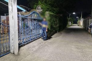 Cow herder causes chaos at bakery in Bang Lamung | Thaiger