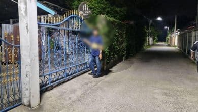 Cow herder causes chaos at bakery in Bang Lamung | Thaiger