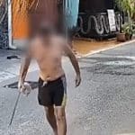 Foreigner allegedly poisons pet dogs and birds in Chon Buri | Thaiger