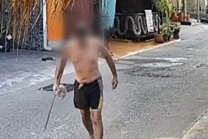 Foreigner allegedly poisons pet dogs and birds in Chon Buri | Thaiger