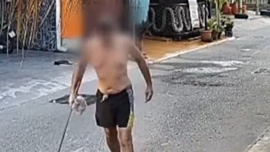 Foreigner allegedly poisons pet dogs and birds in Chon Buri | Thaiger