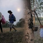 Border villagers return home, but remain cautious over ceasefire | Thaiger